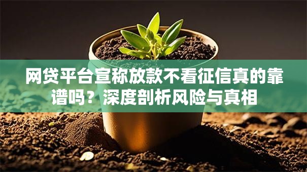 网贷平台宣称放款不看征信真的靠谱吗？深度剖析风险与真相