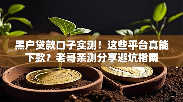 黑户贷款口子实测！这些平台真能下款？老哥亲测分享避坑指南