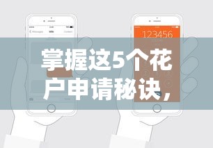 掌握这5个花户申请秘诀，高额度网贷口子轻松到手！
