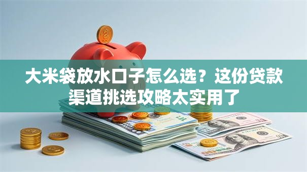 大米袋放水口子怎么选？这份贷款渠道挑选攻略太实用了