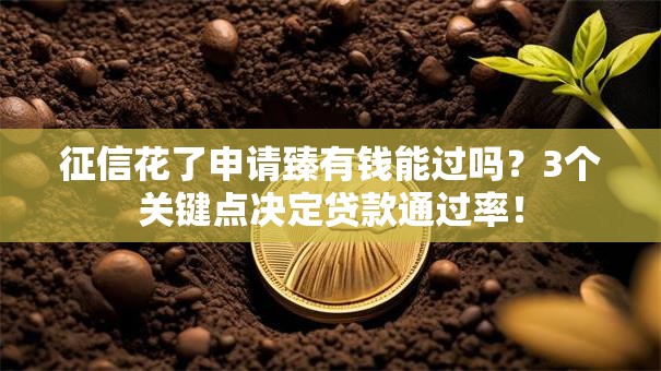 征信花了申请臻有钱能过吗？3个关键点决定贷款通过率！