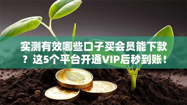 实测有效哪些口子买会员能下款？这5个平台开通VIP后秒到账！