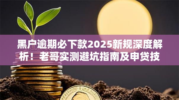 黑户逾期必下款2025新规深度解析！老哥实测避坑指南及申贷技巧