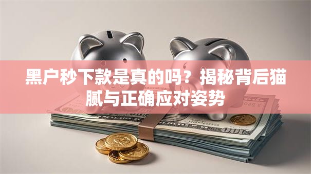 黑户秒下款是真的吗？揭秘背后猫腻与正确应对姿势