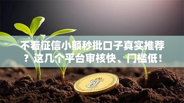 不看征信小额秒批口子真实推荐？这几个平台审核快、门槛低！