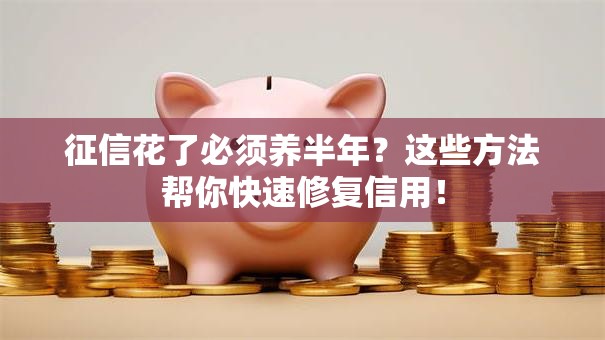 征信花了必须养半年？这些方法帮你快速修复信用！