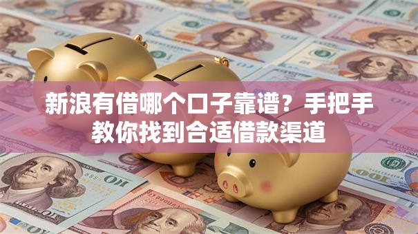 新浪有借哪个口子靠谱？手把手教你找到合适借款渠道