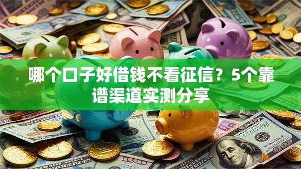 哪个口子好借钱不看征信？5个靠谱渠道实测分享