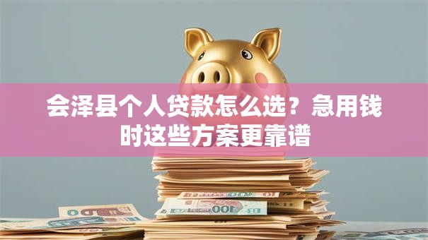 会泽县个人贷款怎么选？急用钱时这些方案更靠谱