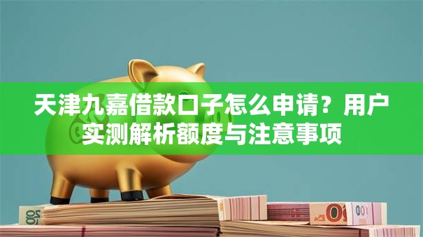 天津九嘉借款口子怎么申请？用户实测解析额度与注意事项