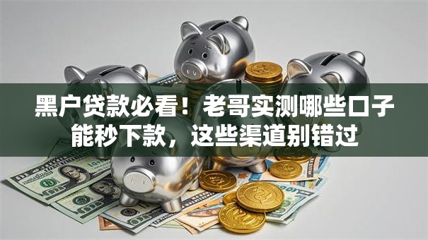 黑户贷款必看！老哥实测哪些口子能秒下款，这些渠道别错过
