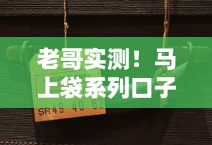 老哥实测！马上袋系列口子有哪些？这些平台值得试试