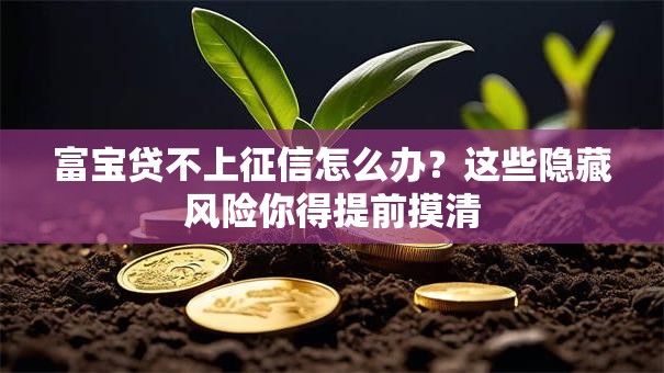 富宝贷不上征信怎么办？这些隐藏风险你得提前摸清
