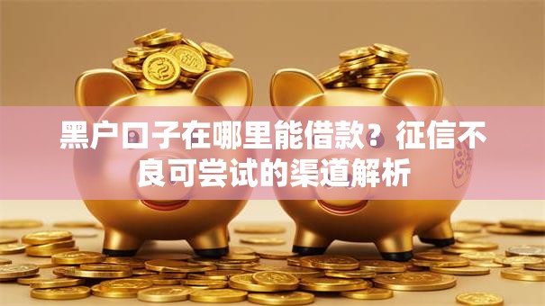 黑户口子在哪里能借款？征信不良可尝试的渠道解析