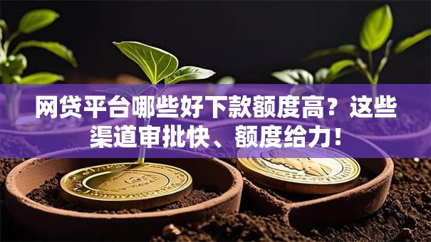 网贷平台哪些好下款额度高？这些渠道审批快、额度给力！