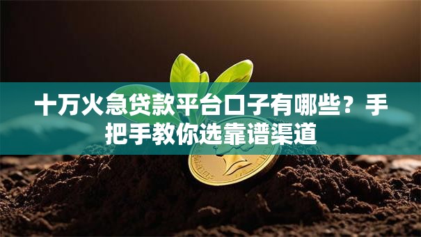 十万火急贷款平台口子有哪些？手把手教你选靠谱渠道