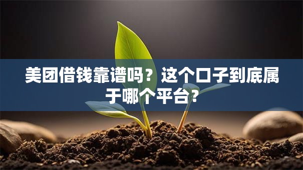 美团借钱靠谱吗？这个口子到底属于哪个平台？