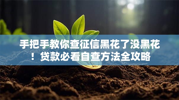 手把手教你查征信黑花了没黑花！贷款必看自查方法全攻略