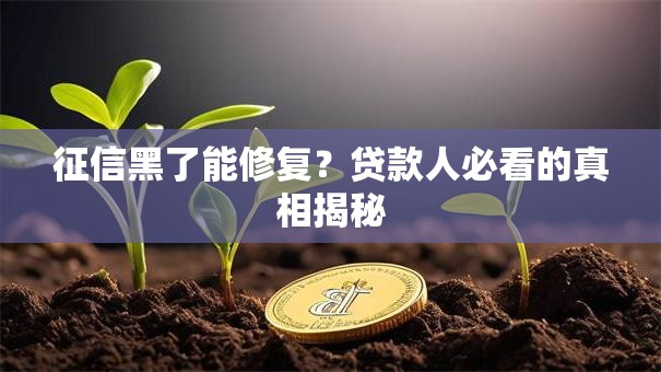 征信黑了能修复？贷款人必看的真相揭秘