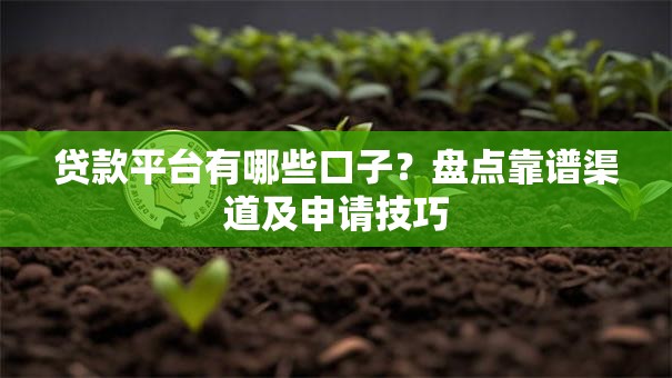 贷款平台有哪些口子？盘点靠谱渠道及申请技巧