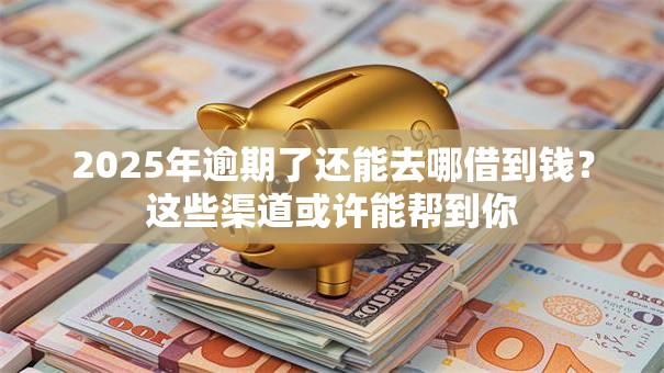 2025年逾期了还能去哪借到钱？这些渠道或许能帮到你