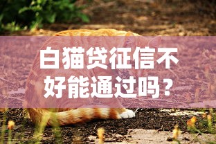 白猫贷征信不好能通过吗？征信不良也能申贷的真实经验