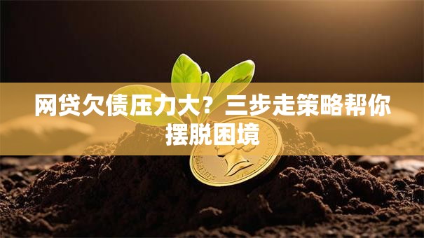 网贷欠债压力大？三步走策略帮你摆脱困境