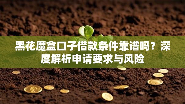 黑花魔盒口子借款条件靠谱吗？深度解析申请要求与风险