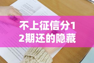 不上征信分12期还的隐藏福利！这招帮你无压力还款