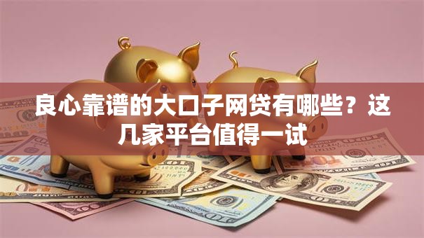 良心靠谱的大口子网贷有哪些？这几家平台值得一试