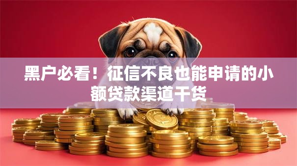 黑户必看！征信不良也能申请的小额贷款渠道干货