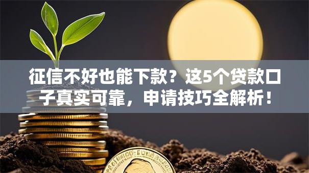 征信不好也能下款？这5个贷款口子真实可靠，申请技巧全解析！