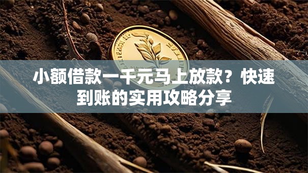 小额借款一千元马上放款？快速到账的实用攻略分享