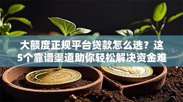 大额度正规平台贷款怎么选?这5个靠谱渠道助你轻松解决资金难题 大额度正规平台贷款怎么选?这5个靠谱渠道助你轻松解决资金难题