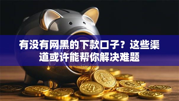 有没有网黑的下款口子？这些渠道或许能帮你解决难题