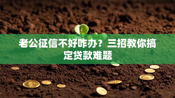 老公征信不好咋办？三招教你搞定贷款难题