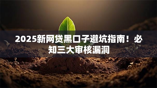 2025新网贷黑口子避坑指南！必知三大审核漏洞