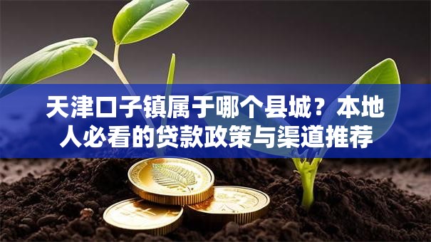 天津口子镇属于哪个县城？本地人必看的贷款政策与渠道推荐