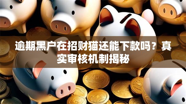 逾期黑户在招财猫还能下款吗？真实审核机制揭秘