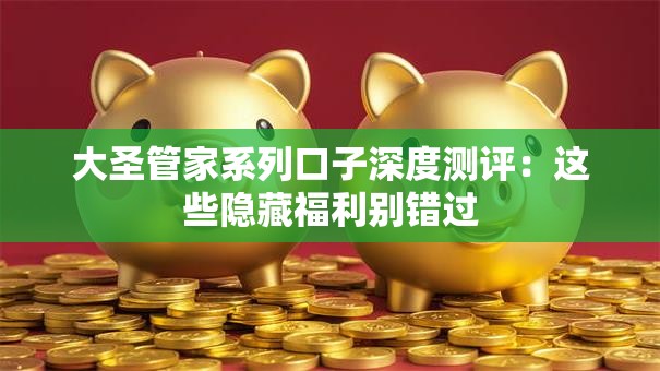 大圣管家系列口子深度测评：这些隐藏福利别错过