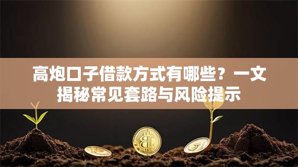 高炮口子借款方式有哪些？一文揭秘常见套路与风险提示