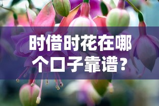 时借时花在哪个口子靠谱？这5个平台申请快、门槛低