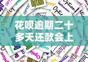 花呗逾期二十多天还款会上征信吗？真实影响和应对方法解析