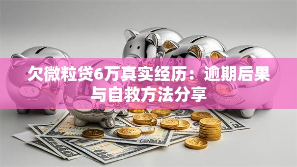 欠微粒贷6万真实经历：逾期后果与自救方法分享
