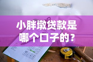 小胖墩贷款是哪个口子的？一文解析靠谱平台选择技巧