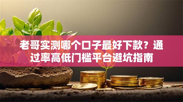 老哥实测哪个口子最好下款？通过率高低门槛平台避坑指南