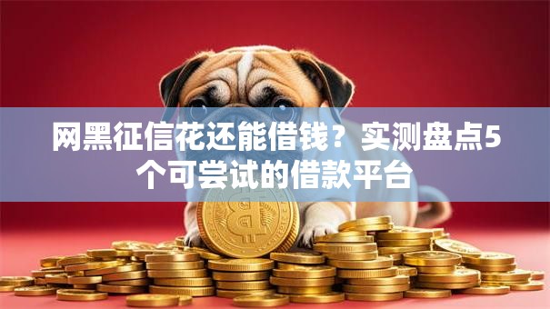 网黑征信花还能借钱？实测盘点5个可尝试的借款平台