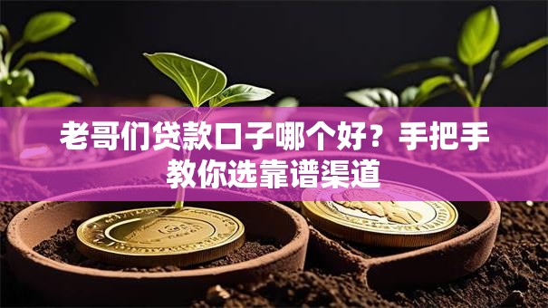 老哥们贷款口子哪个好？手把手教你选靠谱渠道