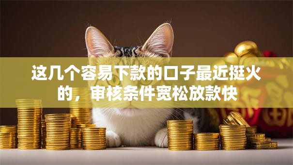 这几个容易下款的口子最近挺火的，审核条件宽松放款快