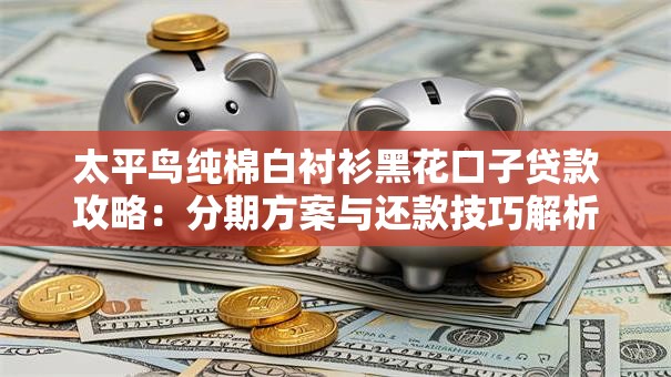 太平鸟纯棉白衬衫黑花口子贷款攻略：分期方案与还款技巧解析